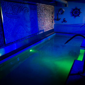 piscina de sauna octopus